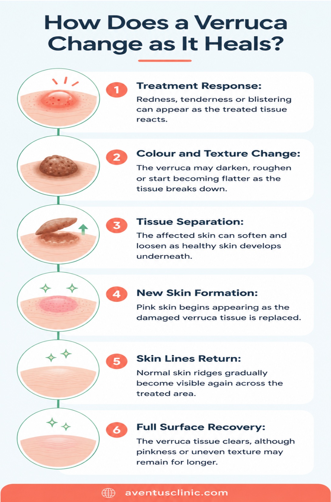 How does a verruca change as it heals