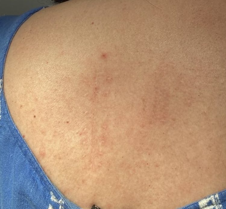 PHOTO-2024-09-24-18-19-12 2